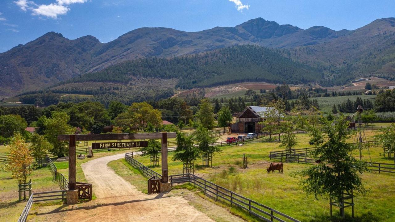Hotel Inspiring Farm Sanctuary And Famous Painting Pig Franschhoek Exterior foto