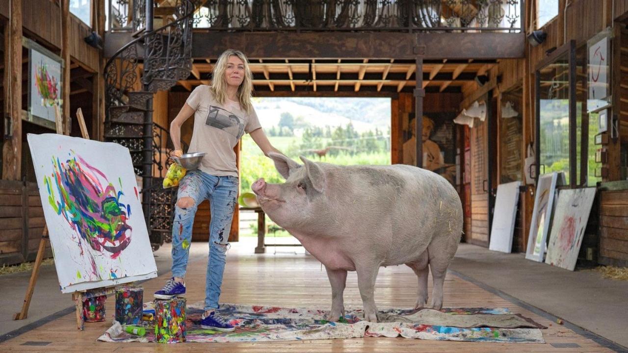 Hotel Inspiring Farm Sanctuary And Famous Painting Pig Franschhoek Exterior foto