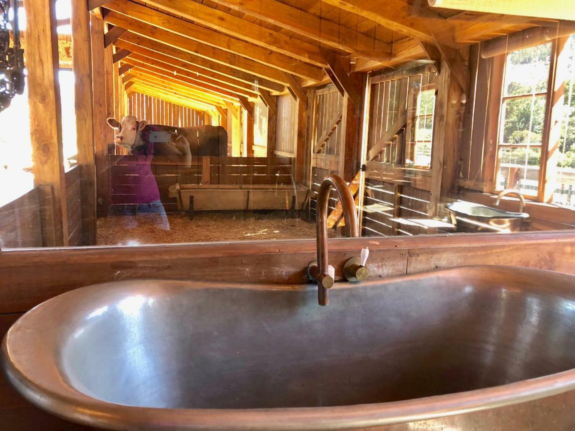 Hotel Inspiring Farm Sanctuary And Famous Painting Pig Franschhoek Exterior foto